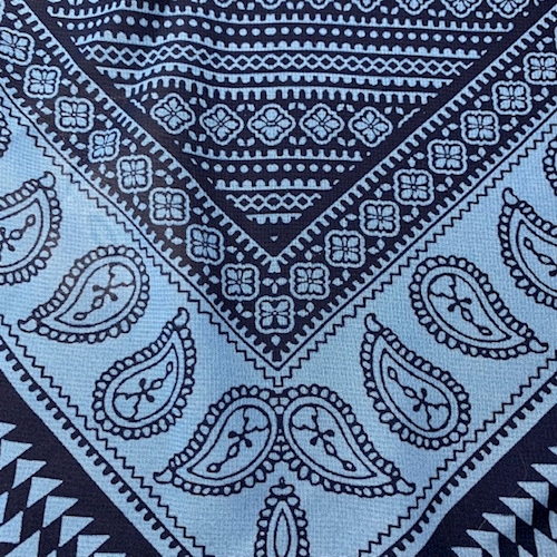 Dusty Blue/Navy Paisley Chevron Georgette