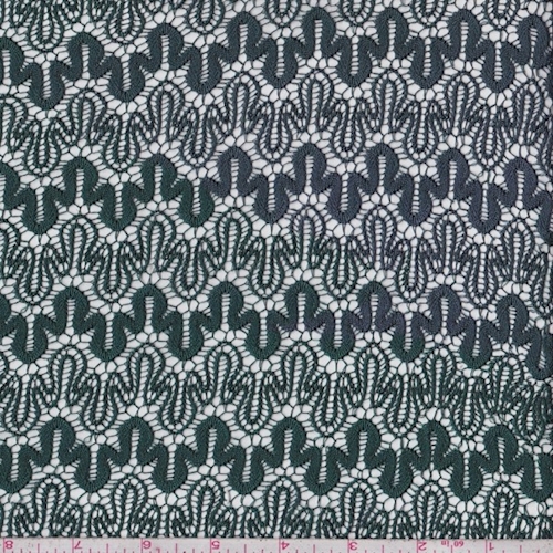 Evergreen Squiggle Lace