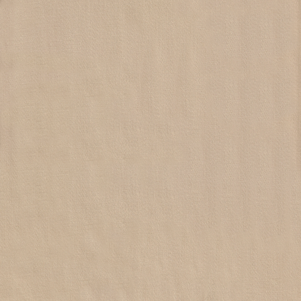 19081