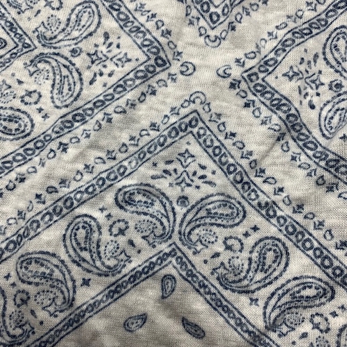 White/Blue Paisley Tile Slub Jersey Knit