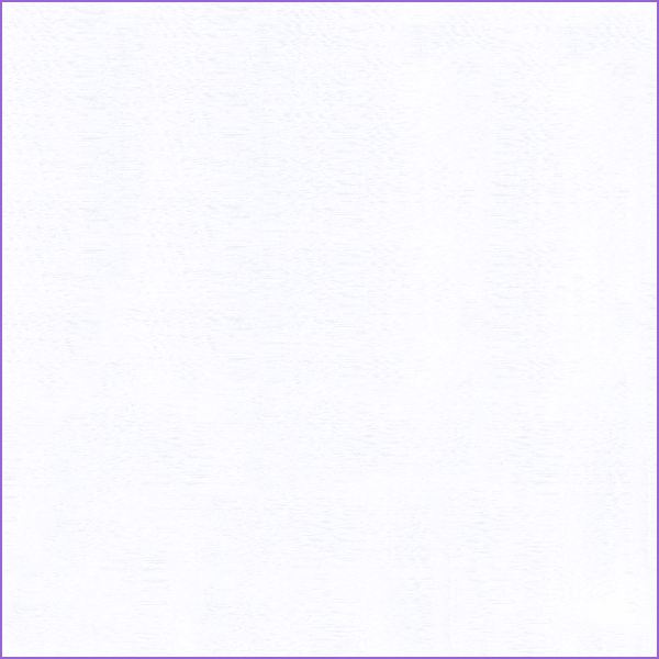 NN0516
