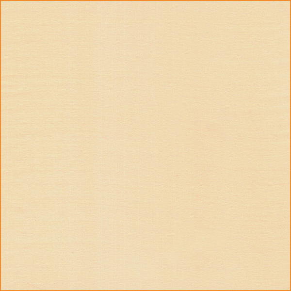 NN617