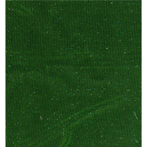 NT0105