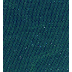 NT0132