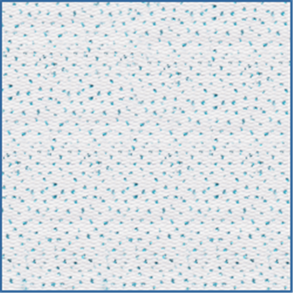 NT0142