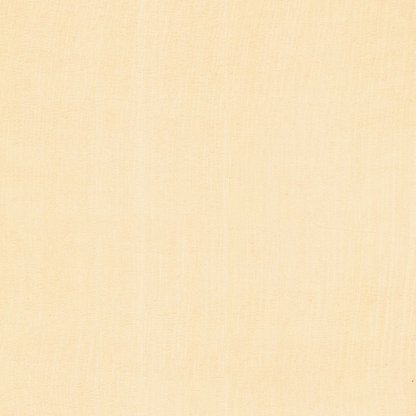 PP285