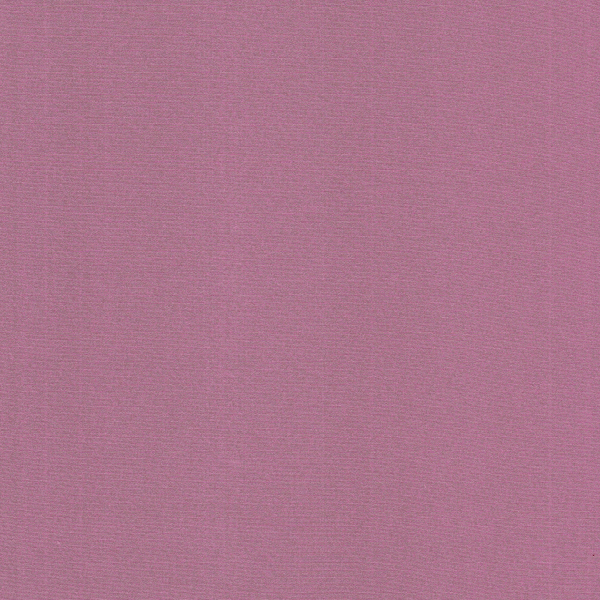 PP577