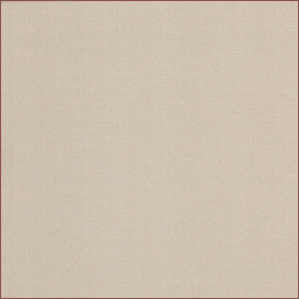 PP586