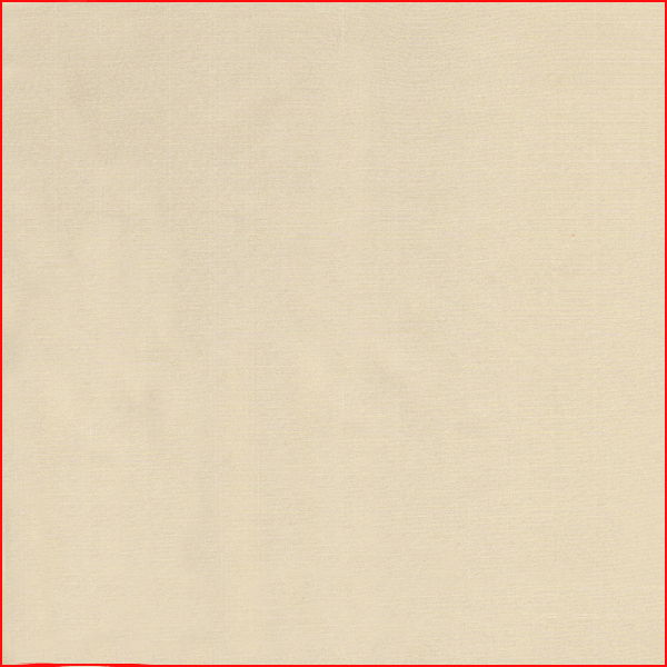 PP587