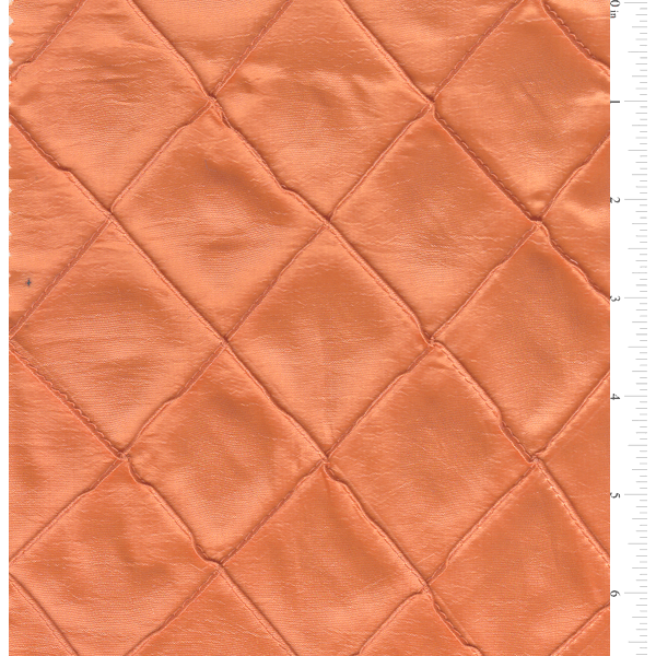 PPT0029