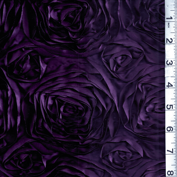 RS0027