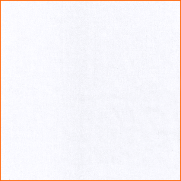 SCSB01