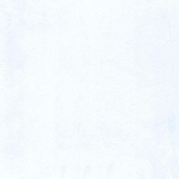 White Suede SD0101