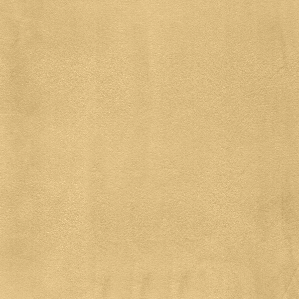 Gold Suede SD0113