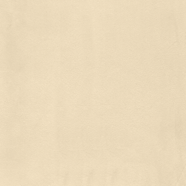 Ivory Suede SD0116
