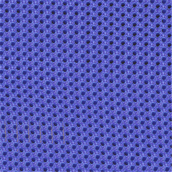 SQ0298