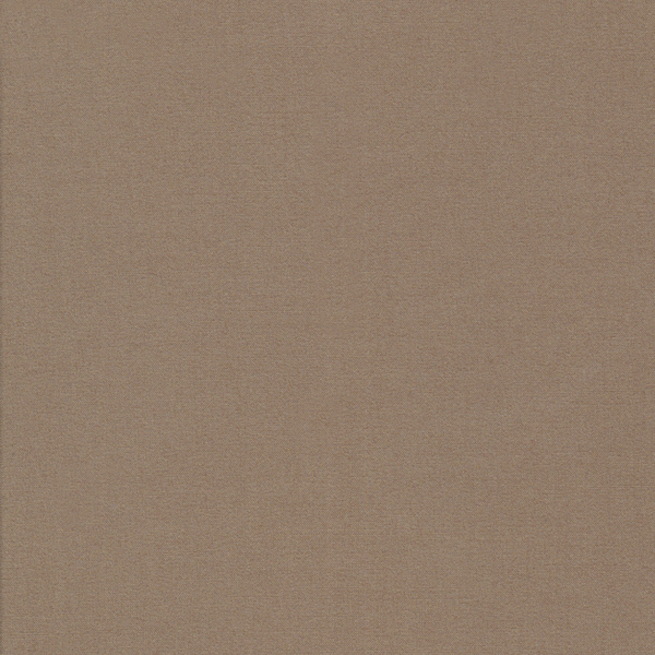 23116