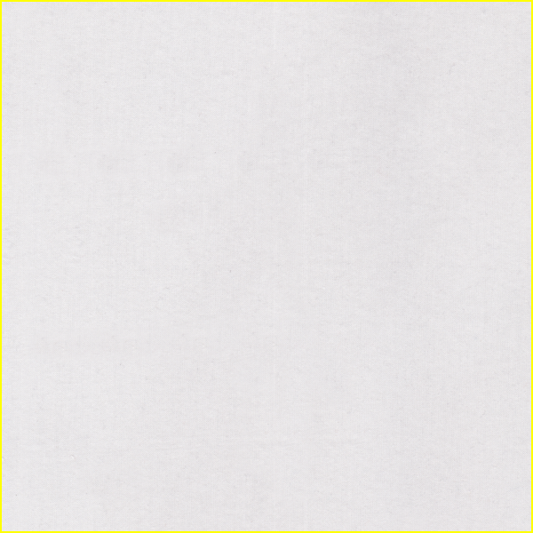 23253