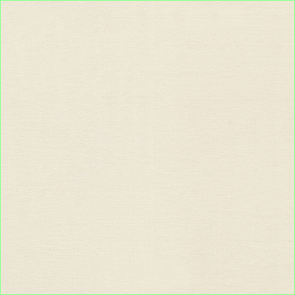 23305
