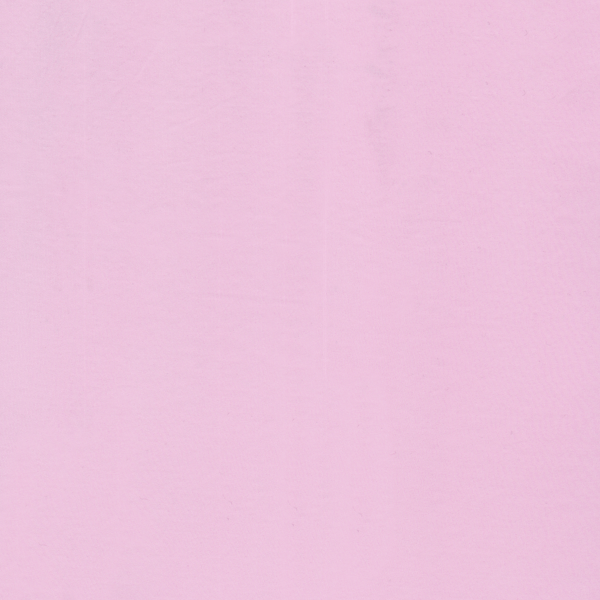 24026
