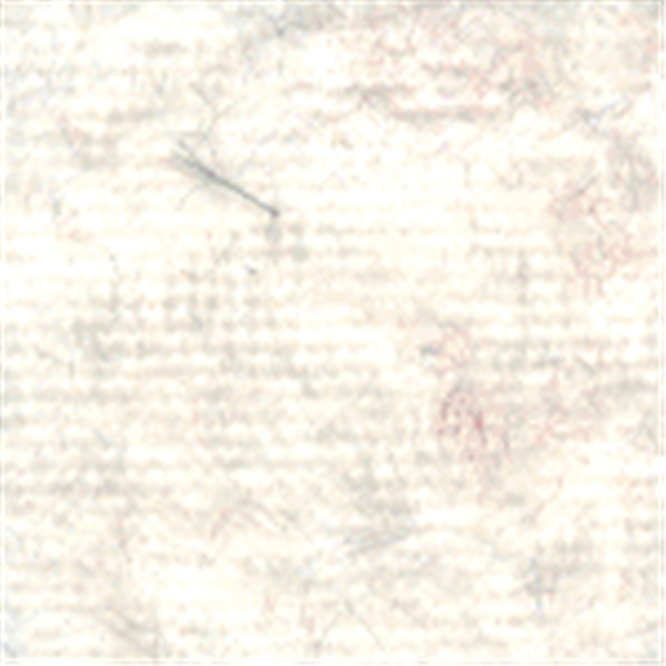 Ivory Crushed Panne Velour VF0216