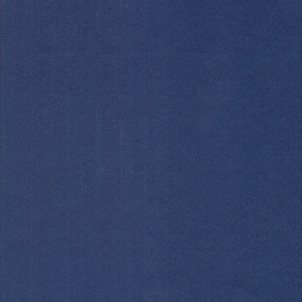 VV261