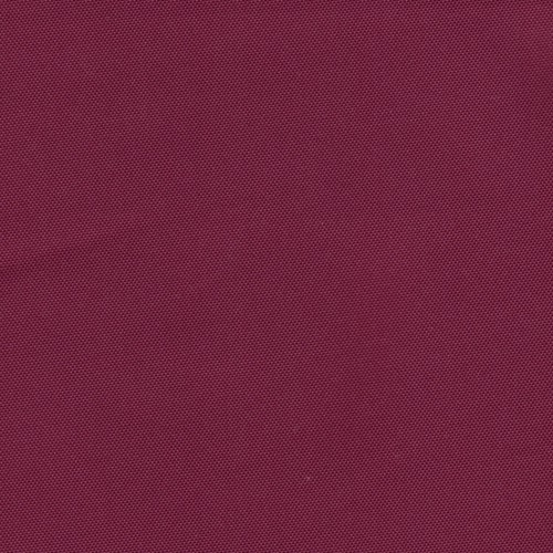 Wine Rhino Canvas