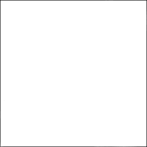 White Poplin Bolt WG0201