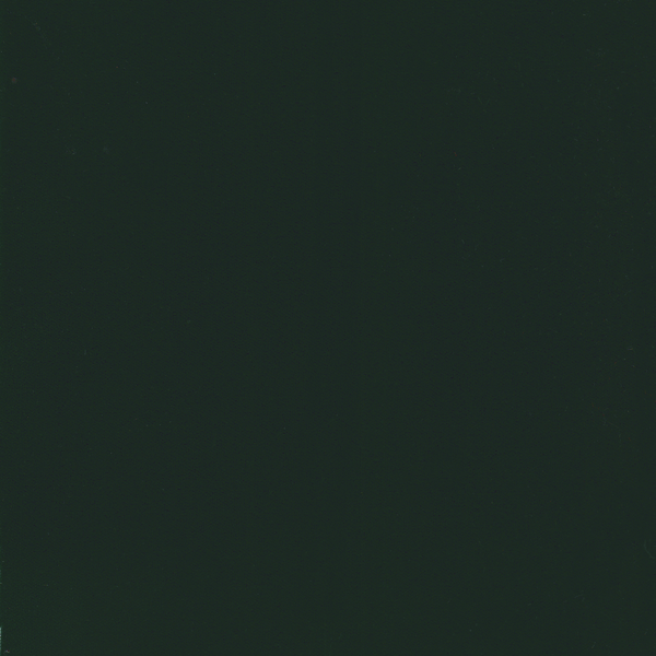 WVFV003
