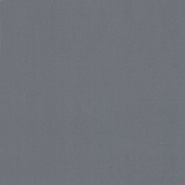 WVFV006