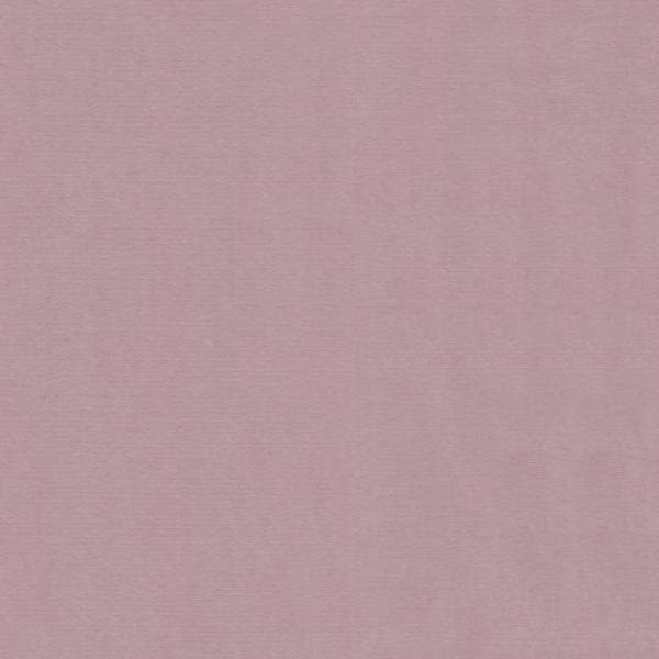 WVFV013