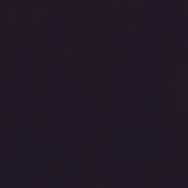 WVFV020