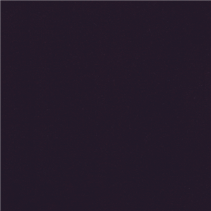 WVFV020