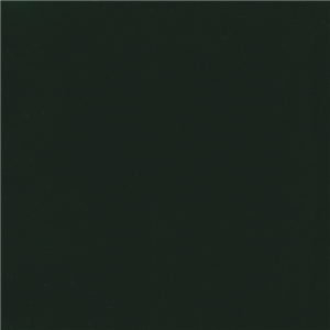 WVTV006