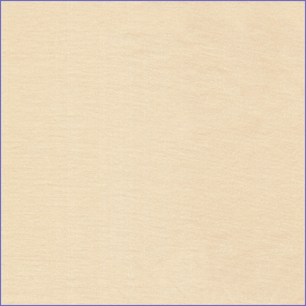WW533