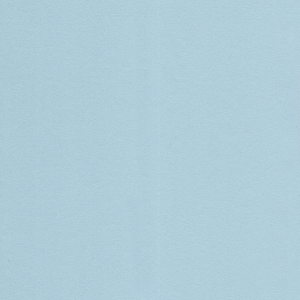 24607