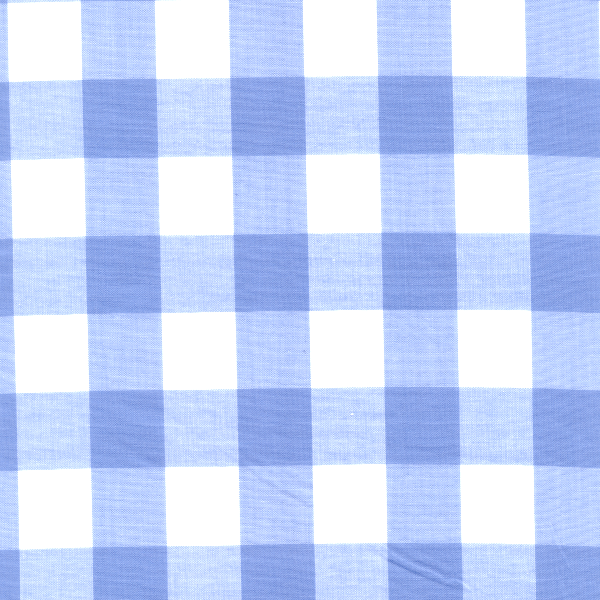 Blue 1 Inch Gingham Bolt GC1003