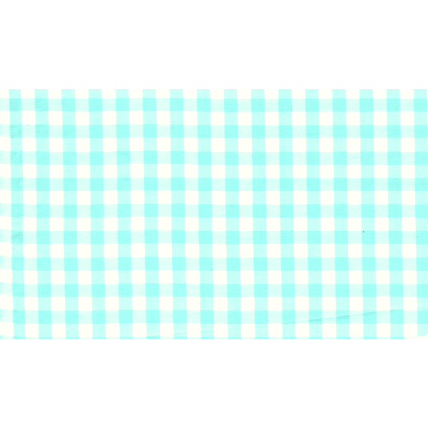 Mint 1/4 Inch Gingham Bolt GC1411