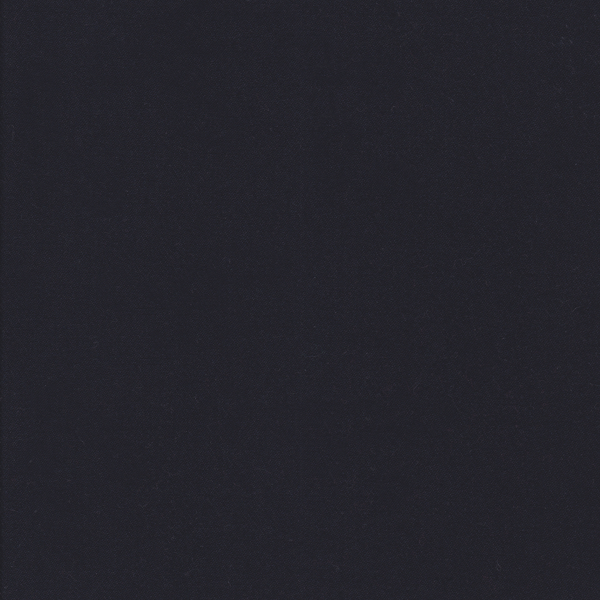 24868