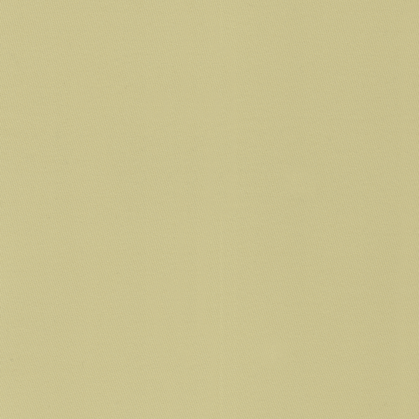 24906