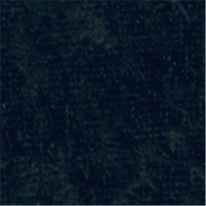 VF0209