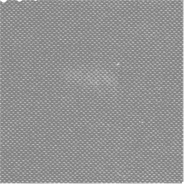 Silver Rhino Canvas Bolt VY314