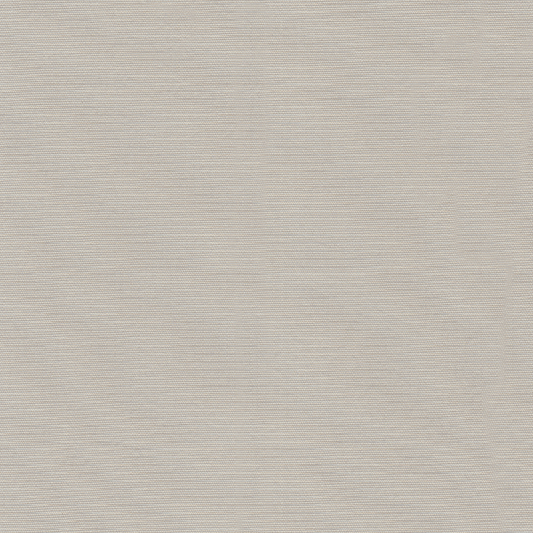 25005