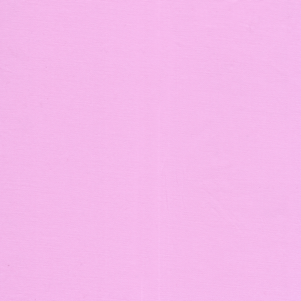 25019