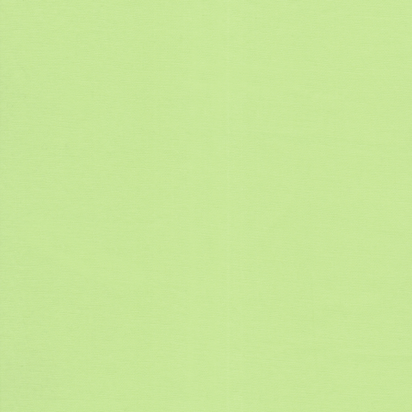 25020