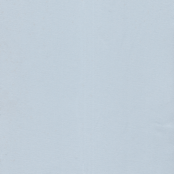 25029