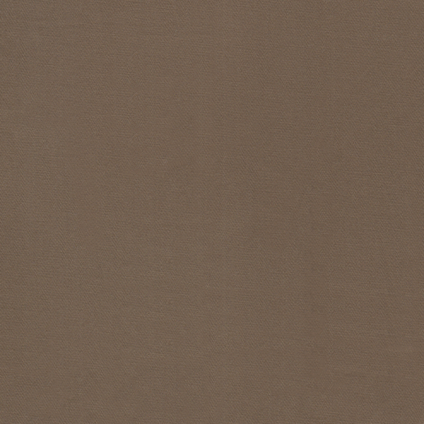 25031