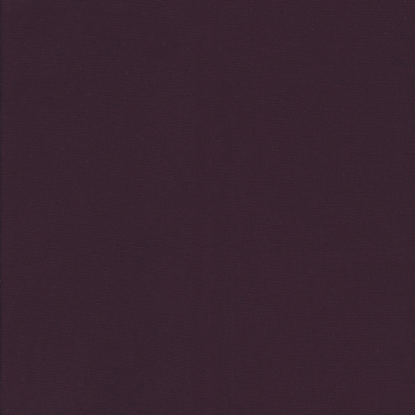 25043