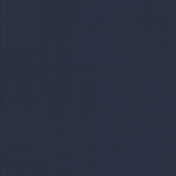 25069