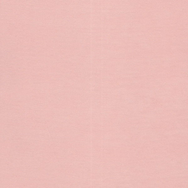25074